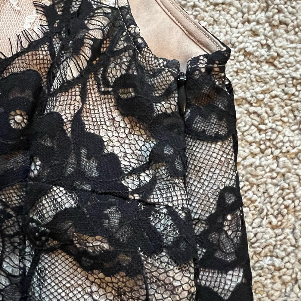 LOFT lace peplum top - Picture 5 of 5